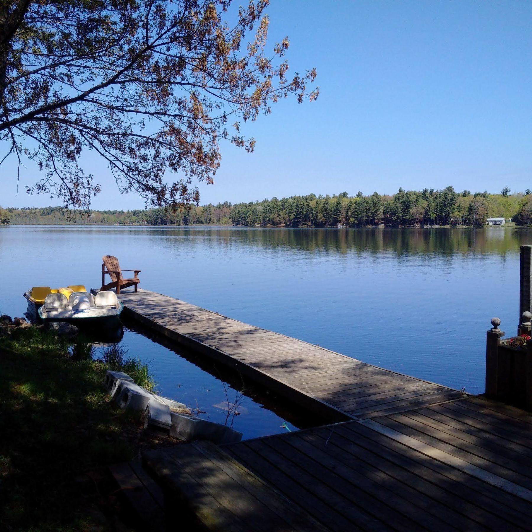 Black Lake Cabins Torrance Eksteriør billede